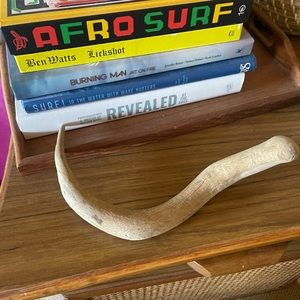 Rare Antler home decor boho western coastal decoration real